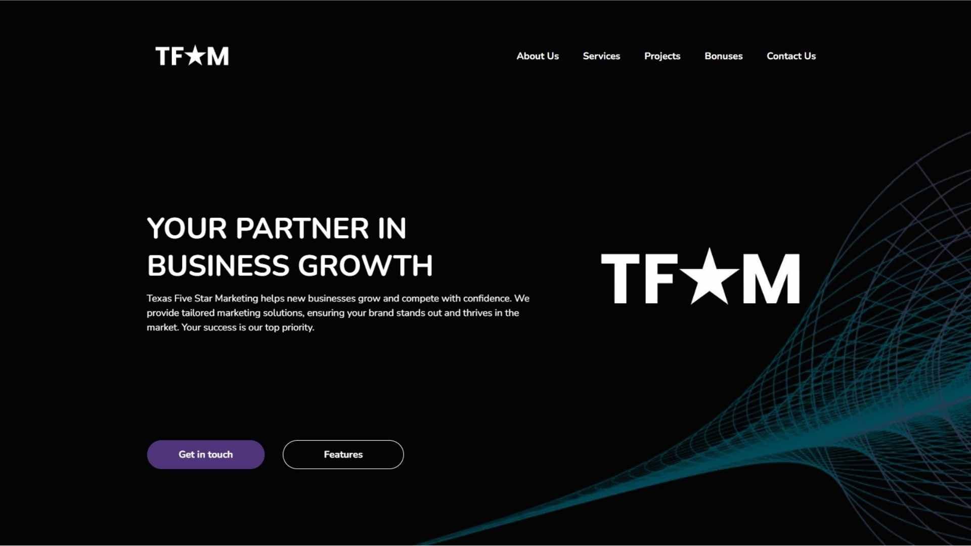 Texas Five Star Marketing website